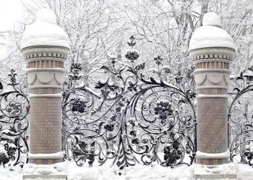 Wrought Iron Gates