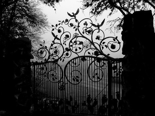 Wrought Iron Gates